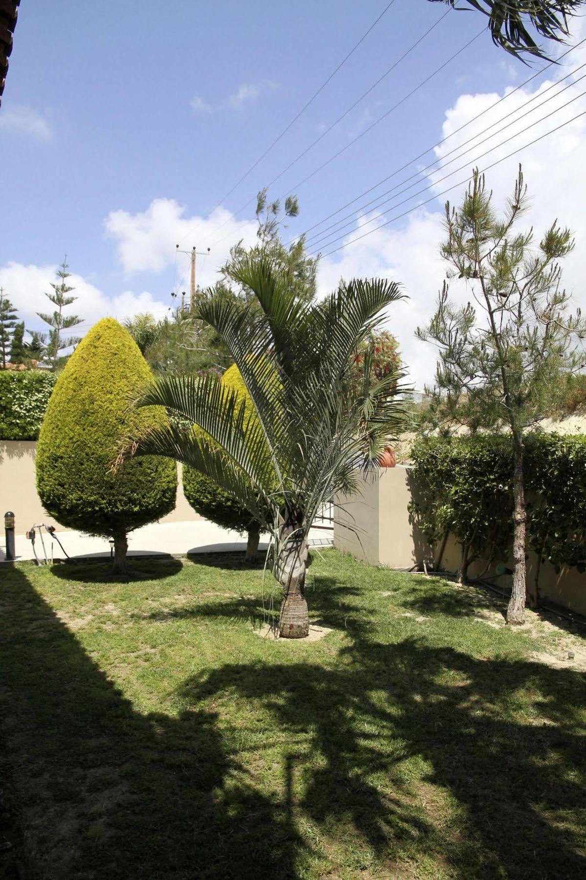 Eve Pissouri Xιnisteri Villa מראה חיצוני תמונה